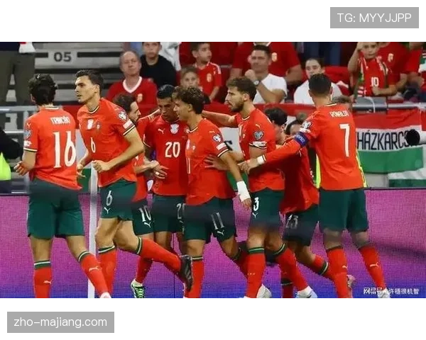 葡萄牙世预赛进攻流畅 客场对阵爱尔兰志在必得